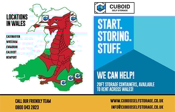 Self storage in Wales for St. David’s Day – Featured Image