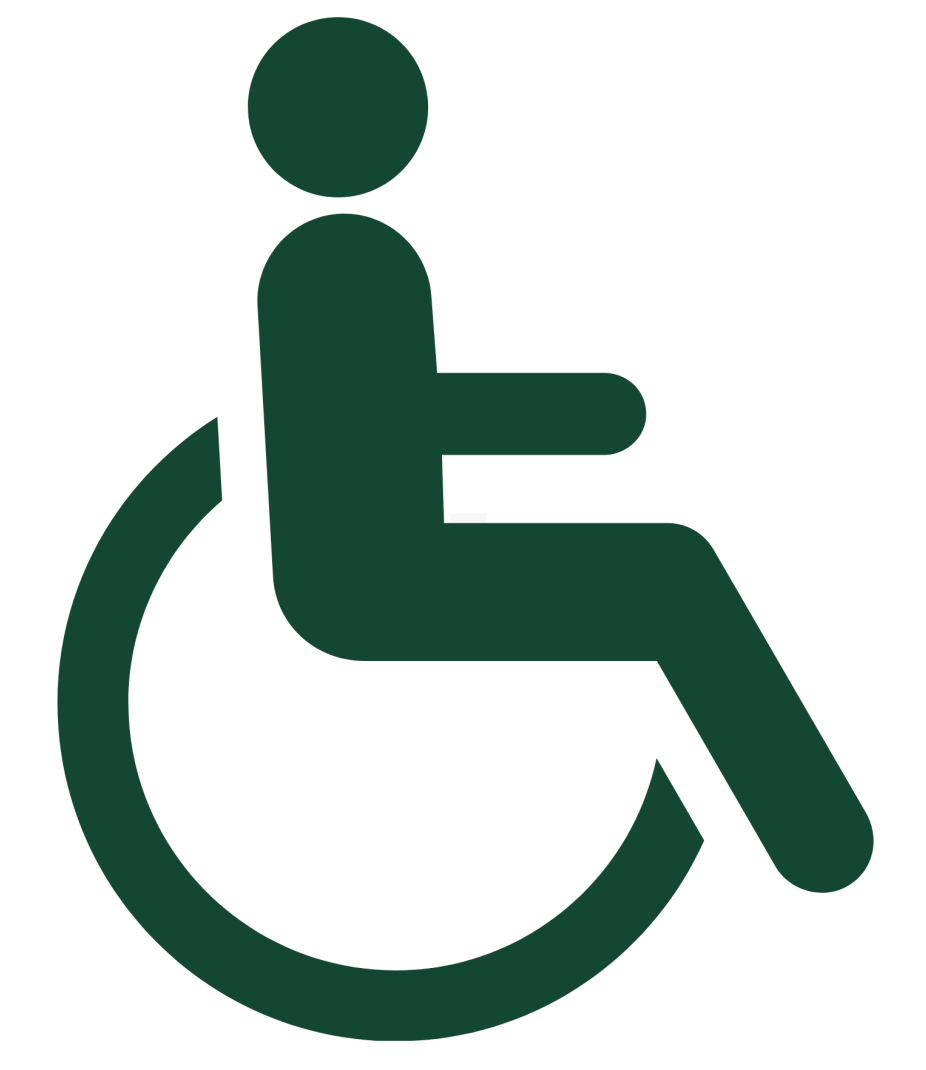 Disabled Access Icon