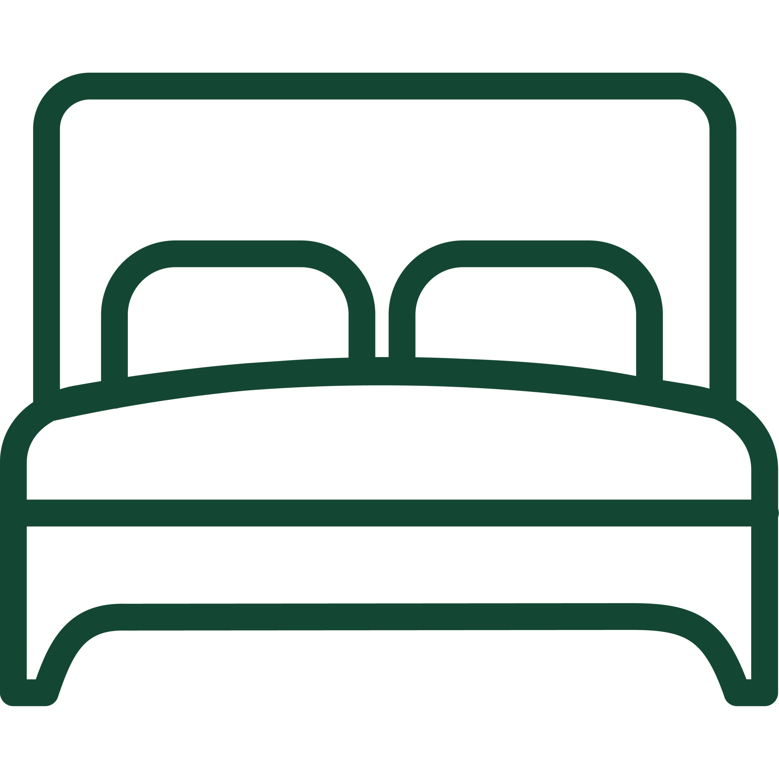Accommodation Options Icon